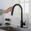 Stainless steel kitchen faucet