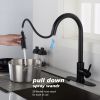 Stainless steel kitchen faucet